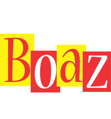 Boaz errors logo