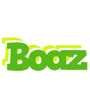 Boaz picnic logo