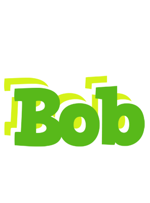 Bob picnic logo