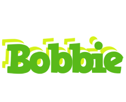 Bobbie picnic logo