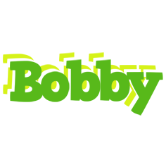 Bobby picnic logo