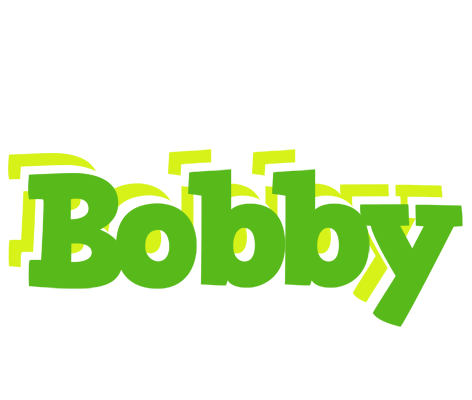Bobby picnic logo