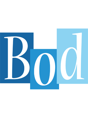 Bod winter logo