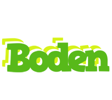 Boden picnic logo