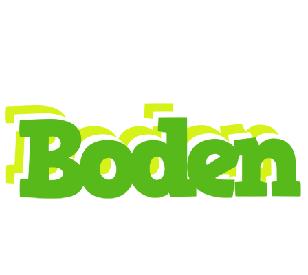 Boden picnic logo