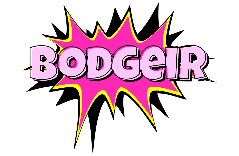 Bodgeir badabing logo