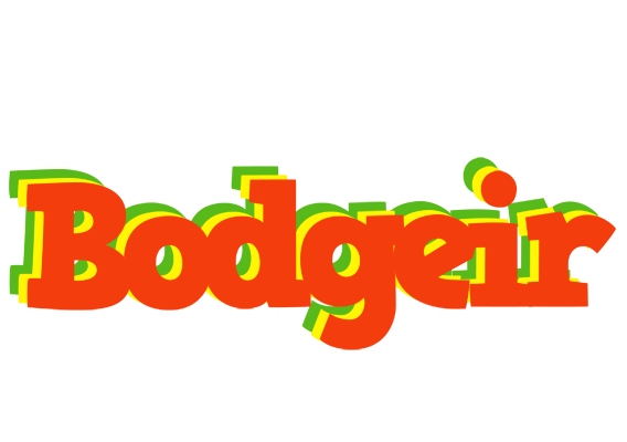 Bodgeir bbq logo