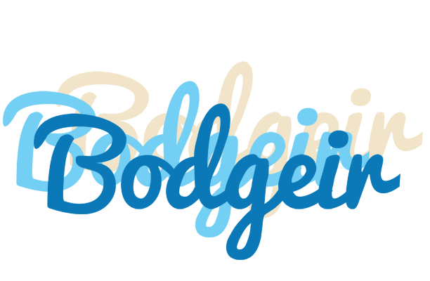 Bodgeir breeze logo