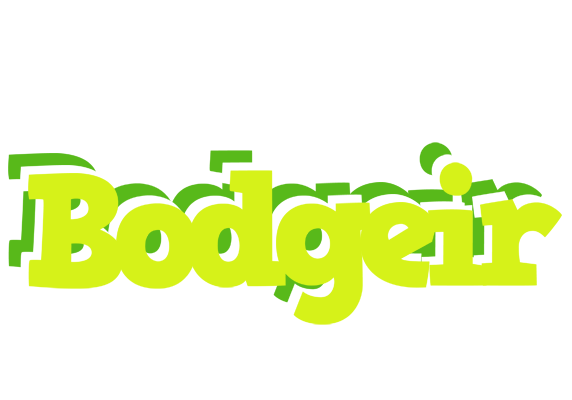 Bodgeir citrus logo
