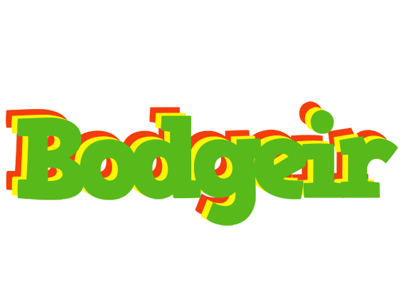 Bodgeir crocodile logo
