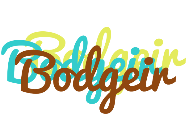 Bodgeir cupcake logo