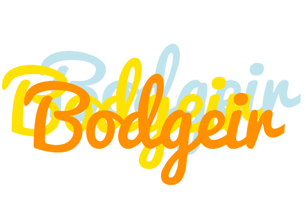 Bodgeir energy logo