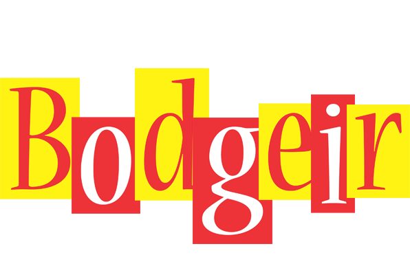 Bodgeir errors logo