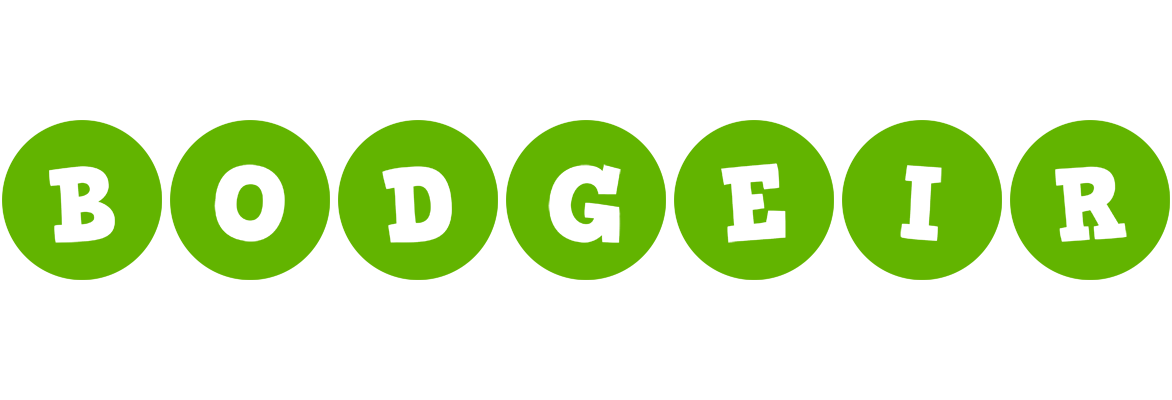 Bodgeir games logo