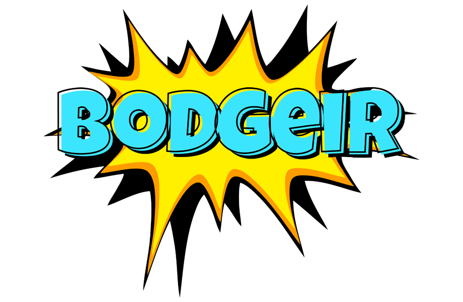 Bodgeir indycar logo