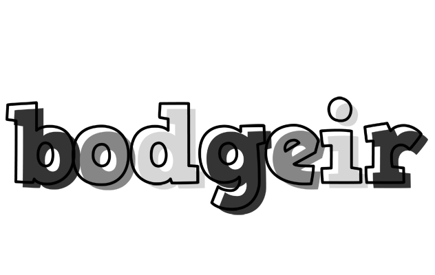 Bodgeir night logo