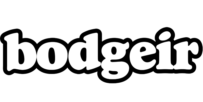 Bodgeir panda logo