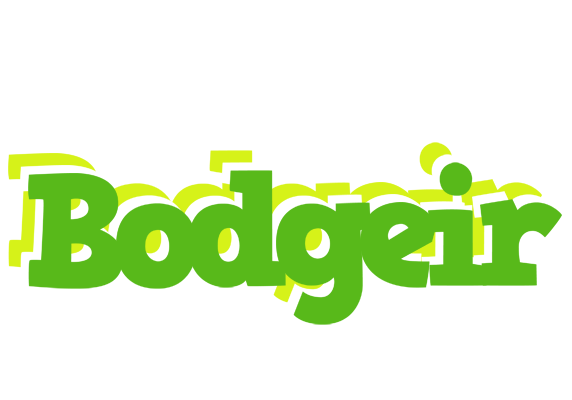Bodgeir picnic logo