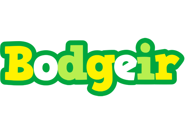 Bodgeir soccer logo