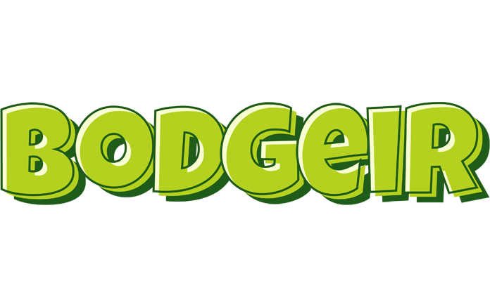 Bodgeir summer logo