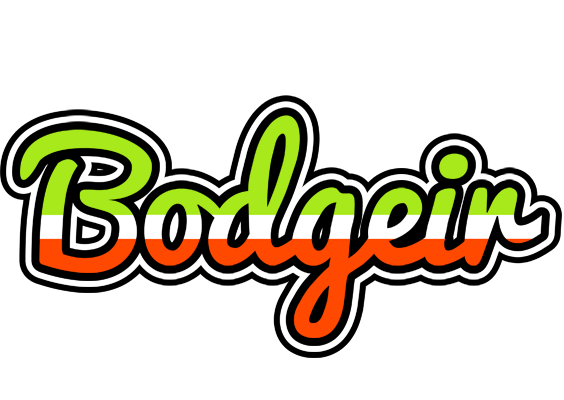 Bodgeir superfun logo
