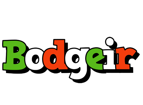 Bodgeir venezia logo