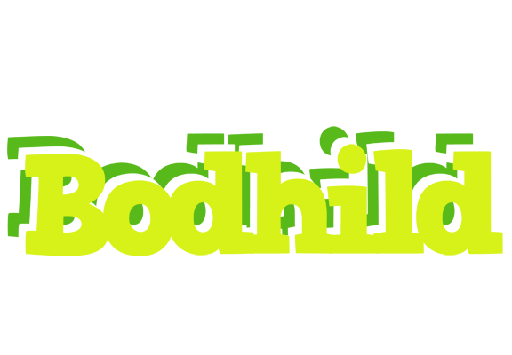 Bodhild citrus logo