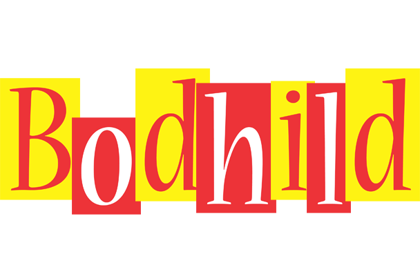 Bodhild errors logo