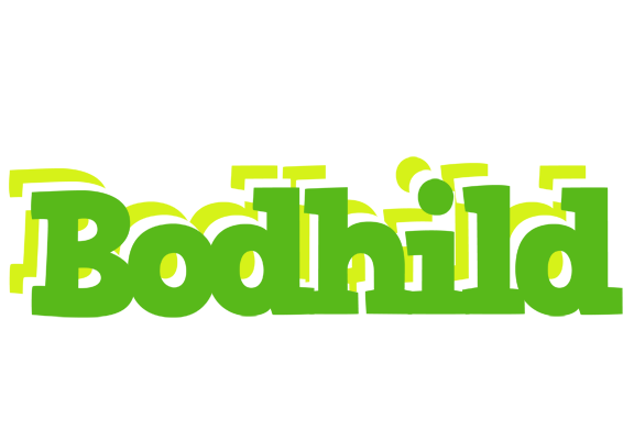 Bodhild picnic logo