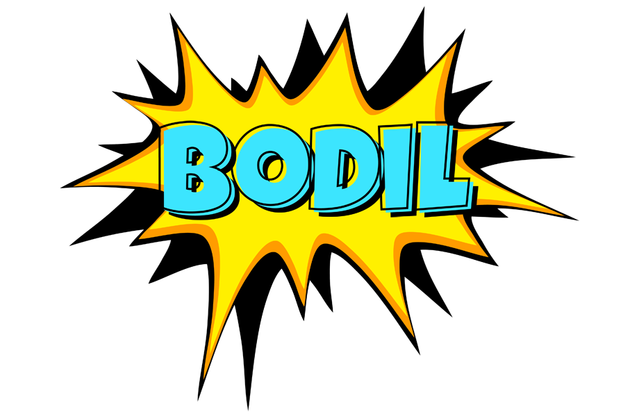Bodil indycar logo