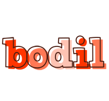 Bodil paint logo