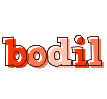 Bodil paint logo