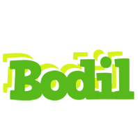 Bodil picnic logo