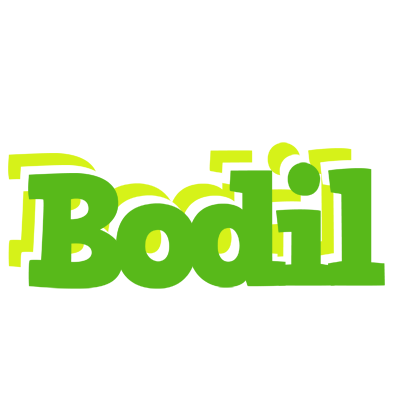 Bodil picnic logo