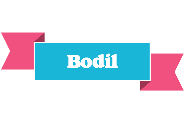 Bodil today logo