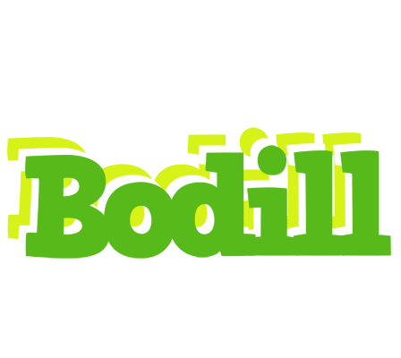 Bodill picnic logo