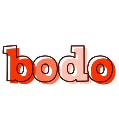 Bodo paint logo