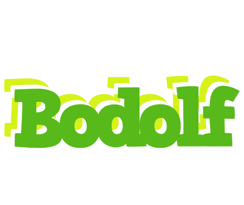 Bodolf picnic logo