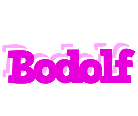 Bodolf rumba logo