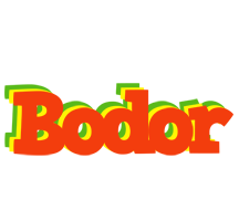 Bodor bbq logo