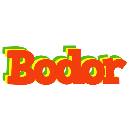 Bodor bbq logo