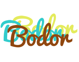 Bodor cupcake logo