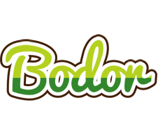 Bodor golfing logo