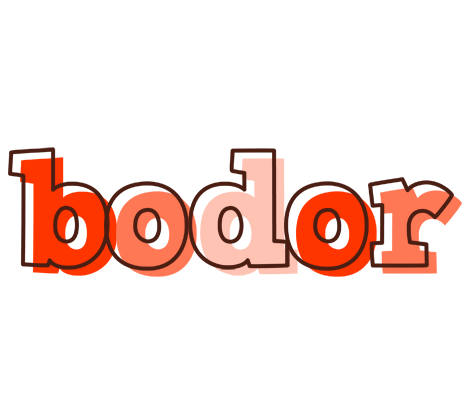 Bodor paint logo