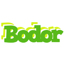 Bodor picnic logo