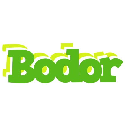 Bodor picnic logo