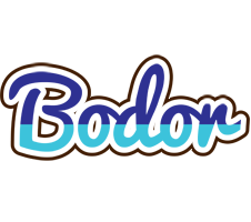 Bodor raining logo