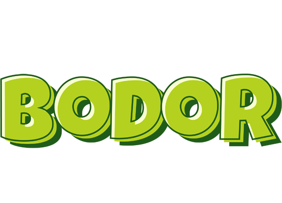 Bodor summer logo