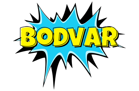 Bodvar amazing logo