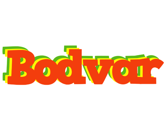 Bodvar bbq logo